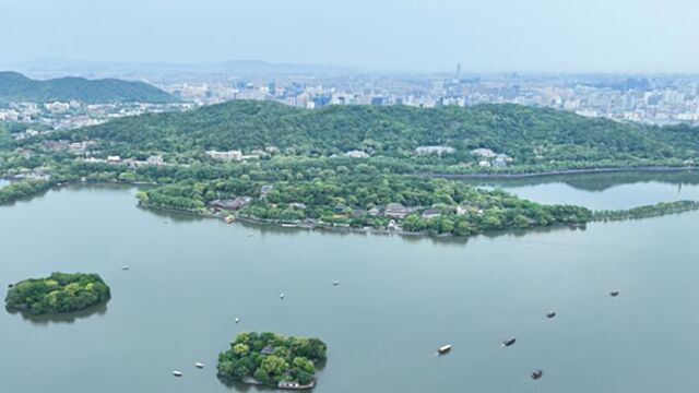 浙江:杭州市城区要取消落户名额限制,精简积分项目