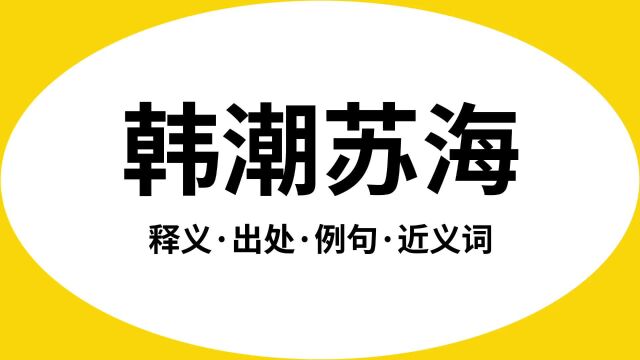 “韩潮苏海”是什么意思?