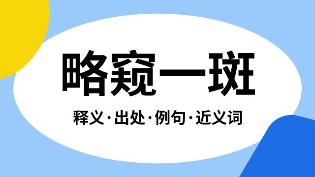 “略窥一斑”是什么意思?