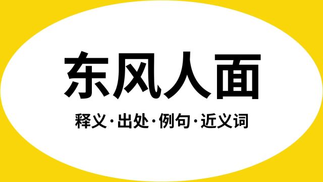 “东风人面”是什么意思?