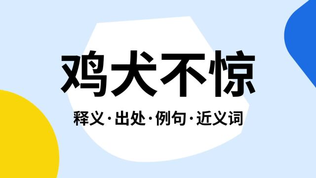 “鸡犬不惊”是什么意思?