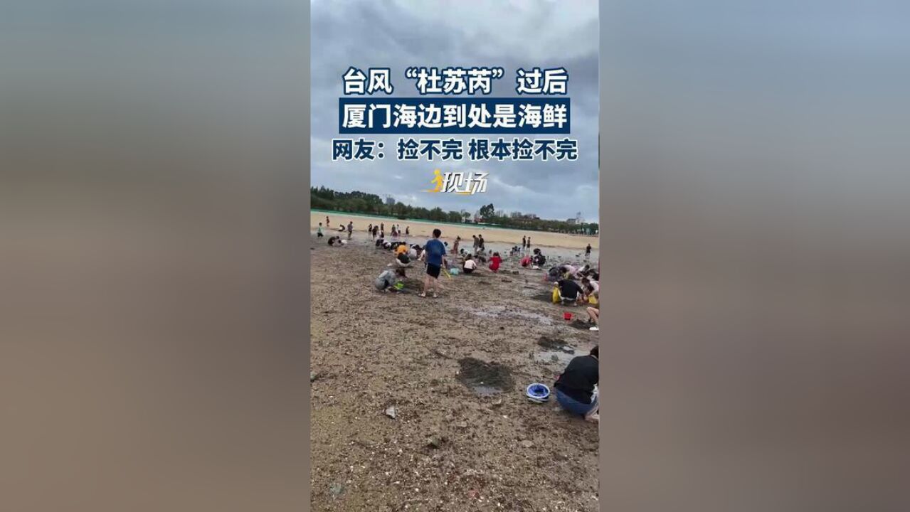 福建省厦门市,厦门海边到处是海鲜