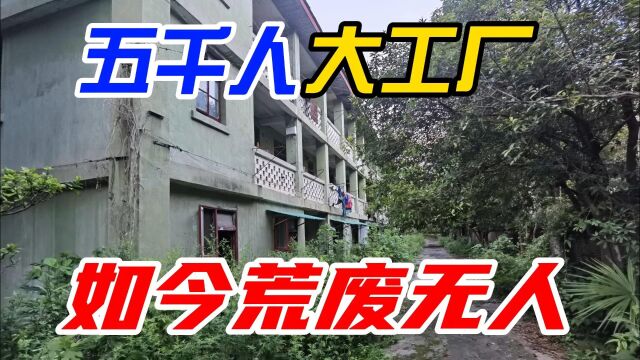 曾经行业里佼佼者,5000人的大工厂,如今几十栋楼荒废无人要