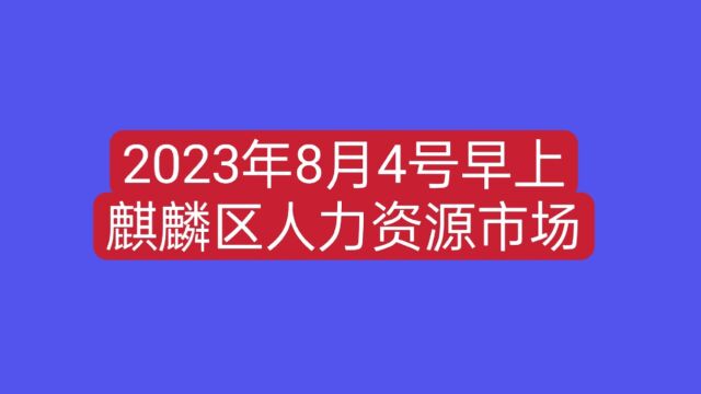 2023年8月4号10:30,实拍麒麟区人力资源市场,开招聘会的情景