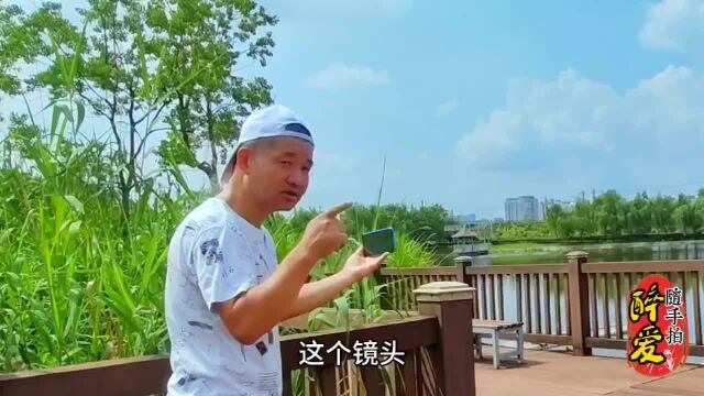 手机怎么拍摄小湖场景