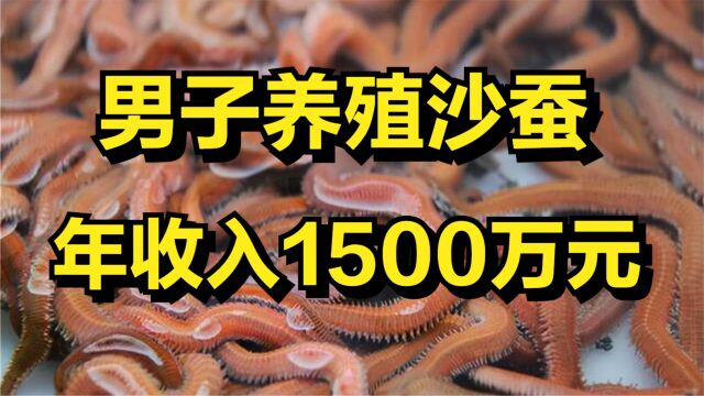 福建男子养殖沙蚕,一亩塘能卖13万元,年收入高达1500万!