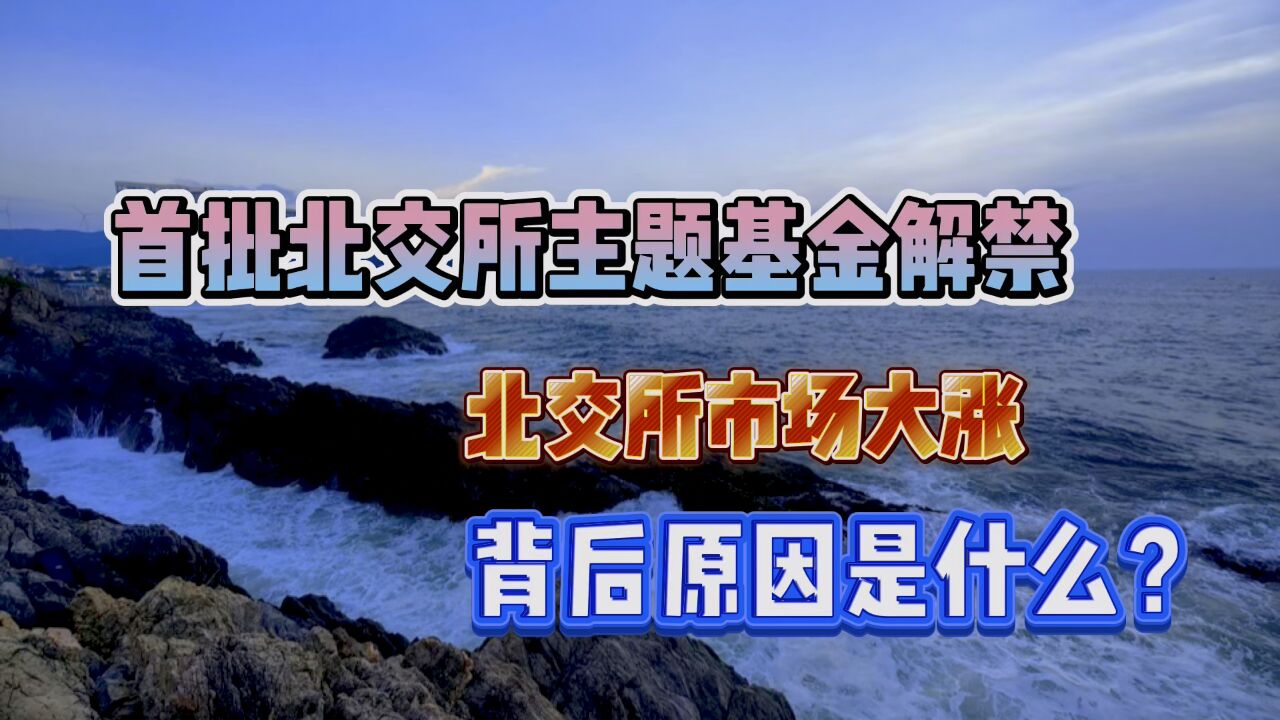 首批北交所主题基金解禁,北交所市场大涨的背后原因是什么?