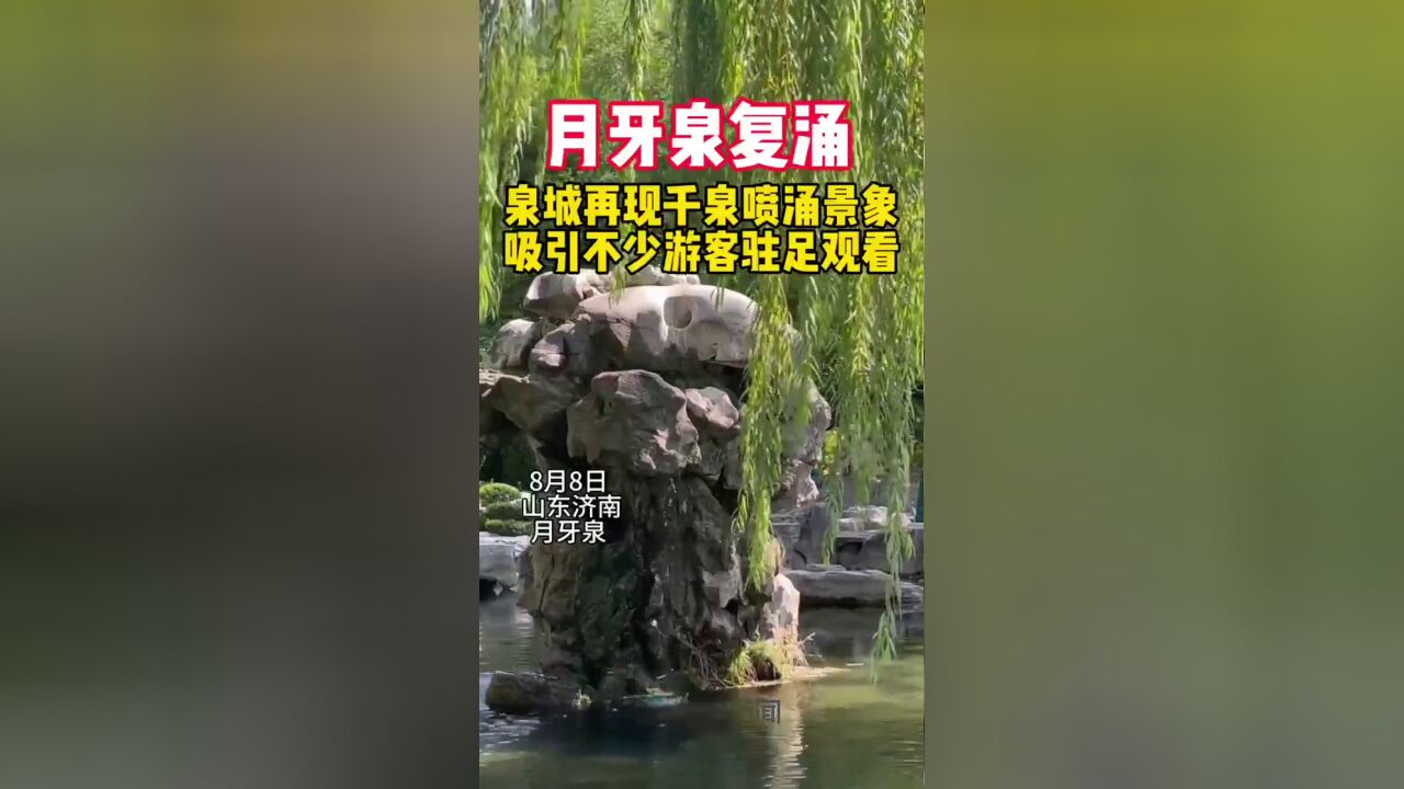 济南月牙泉复涌 泉城再现千泉竞喷景象