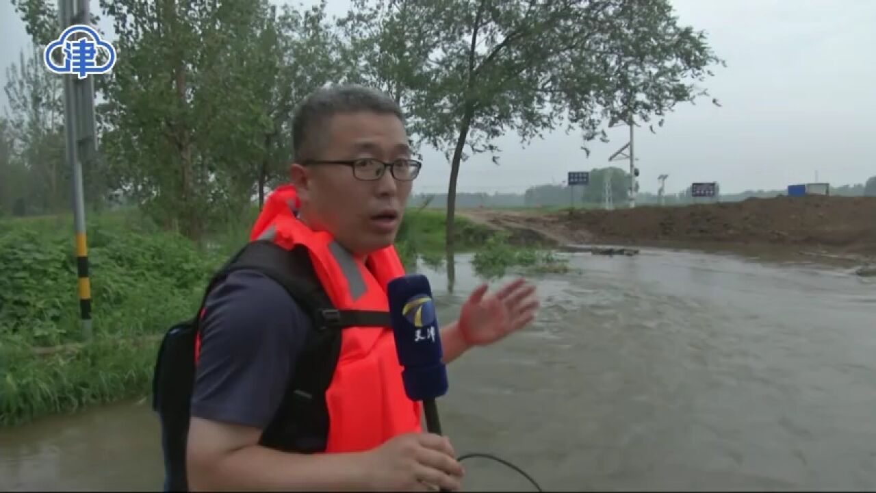 武清区永定河邵七堤段堤坝稳固