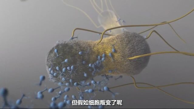 癌细胞是怎么来的?什么是癌症免疫疗法?上癌症生命科学涨姿势硬核知识局