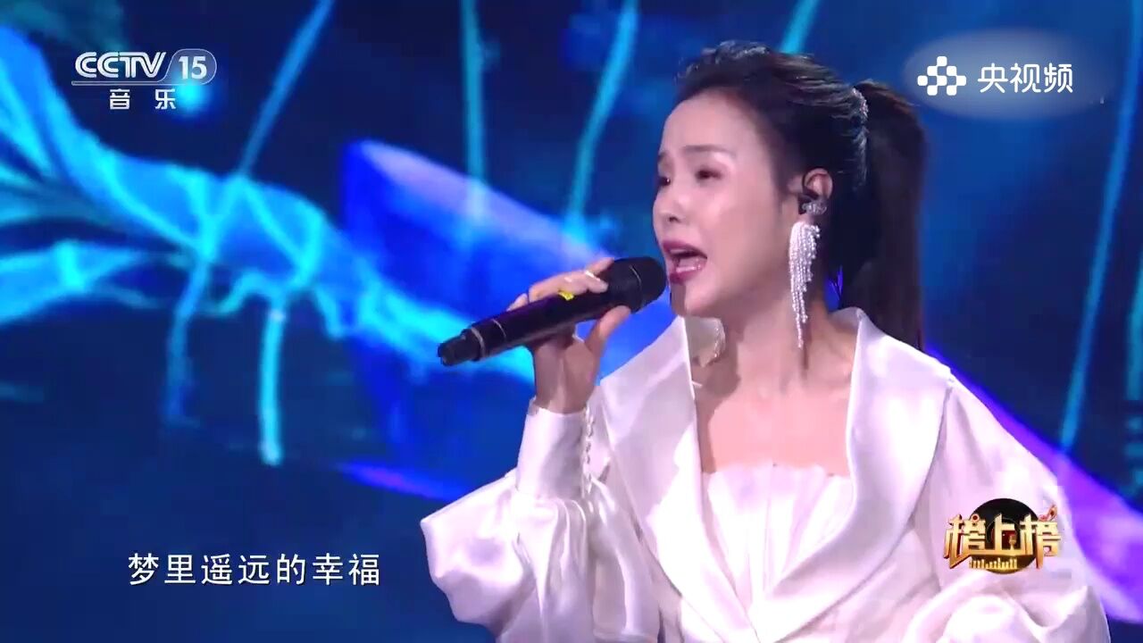 王紫菲演唱《梦里水乡》,梦幻之曲,音符中的美丽水乡