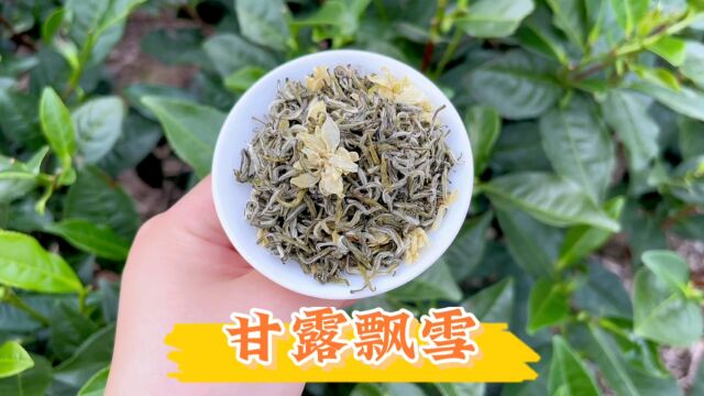 纯茉莉花窨制的甘露飘雪茶叶,味道与香气跟市面上的还真不一样