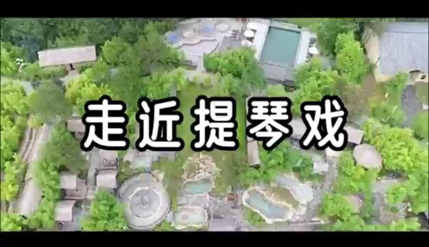 东华大学旭日工商管理学院赴湖北咸宁市实践团 走近提琴戏