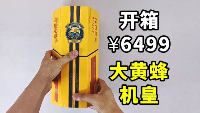 开箱仅售6499的大黄蜂安卓机皇?打开包装那一刻,值了?