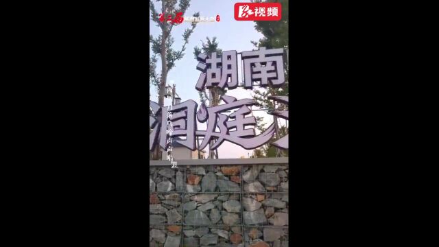 视频丨岳阳:穿越时空遇见美好