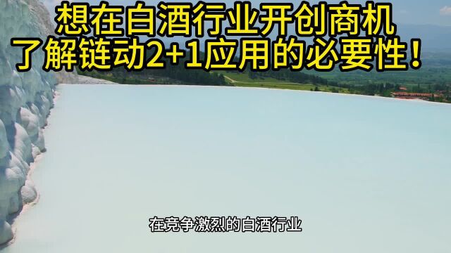 想在白酒行业开创商机?了解链动2+1应用的必要性!