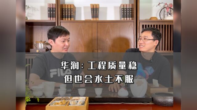 点评开发商系列之——华润置地