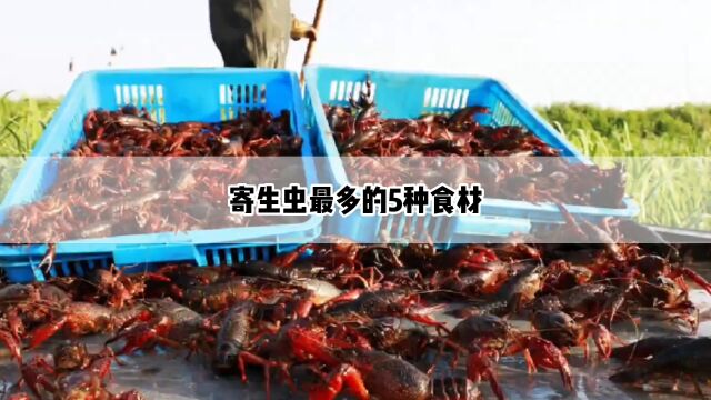 寄生虫最多的5种食材