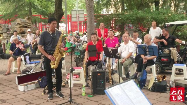 郑州五一公园露天音乐会,萨克斯演奏《恰似你的温柔》