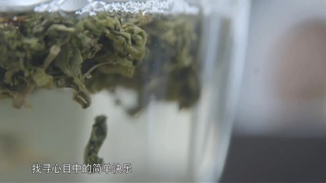 纪录片:酸木瓜煮鱼,果酸和辣味相融,鲜香美味酸辣可口