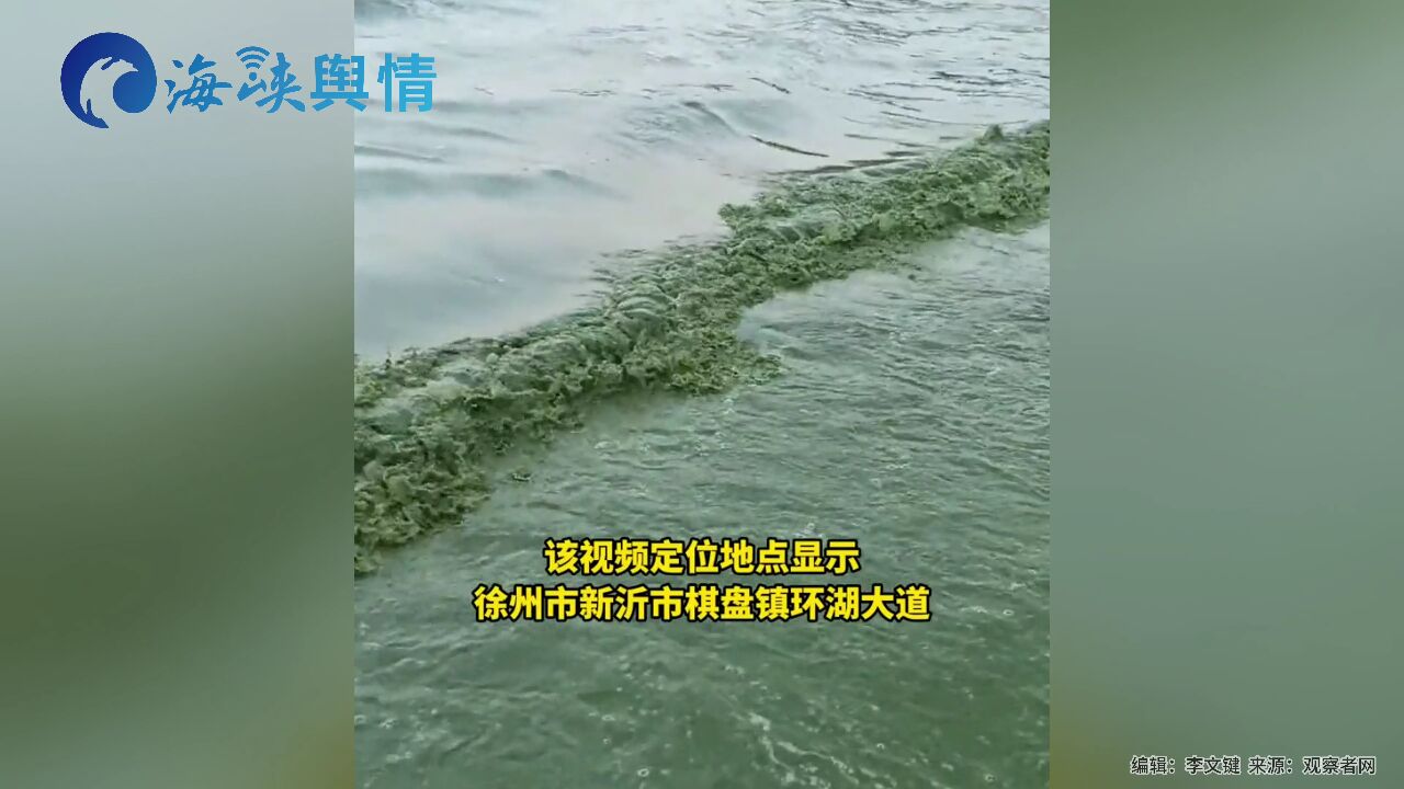 湖水变成绿色 岸边出现死鱼 江苏骆马湖被曝污染严重!