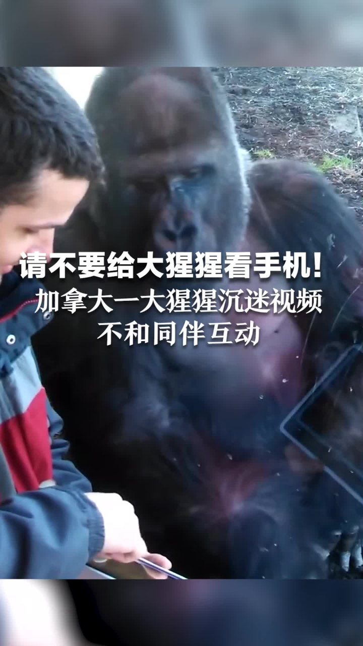 火山要努力鸭直播视频 n3528x08uee_vt.jpg