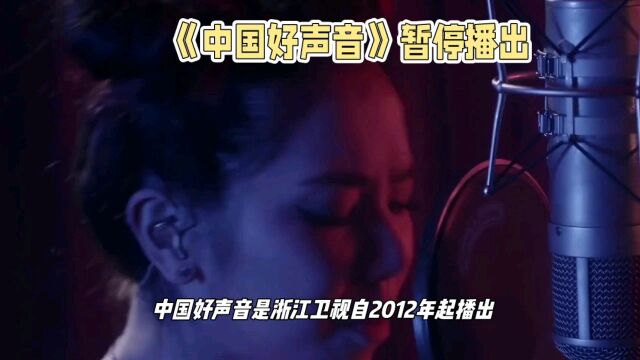 《中国好声音》暂停播出