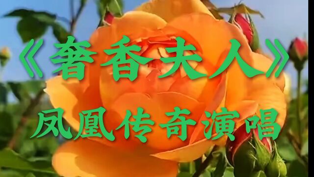 《奢香夫人》凤凰传奇的经典歌曲