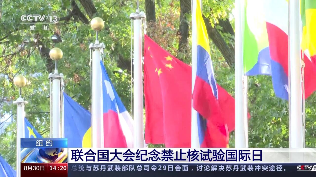 联合国大会纪念禁止核试验国际日