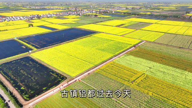 “唱响监利——我的家乡我的歌” 初评入围作品展播(五)