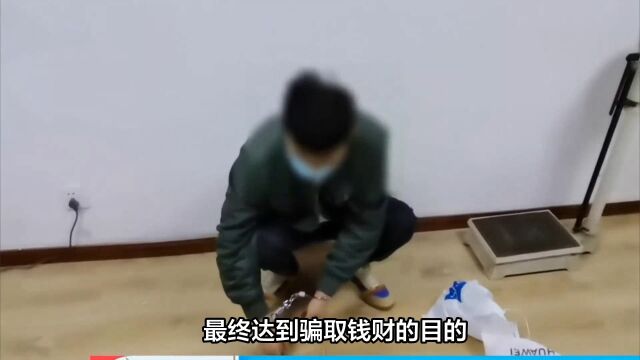 警惕!网络诈骗案件频发,如何保护自己?