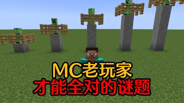 【MC】老玩家才能全对的MC谜题!