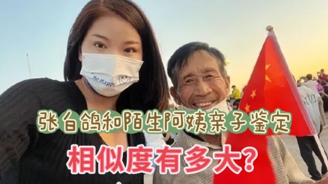 张白鸽和陌生阿姨做亲子鉴定,养父内心怎样想?亲子鉴定能证明什么