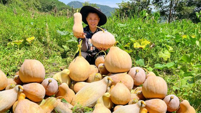 欧妹把地里的南瓜收回家,忙碌半天累又饿看她今天吃什么