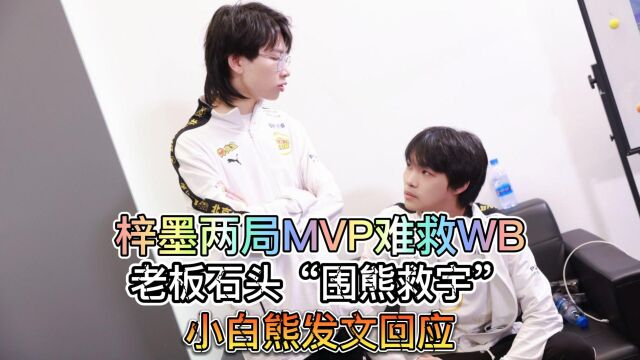 梓墨两局MVP难救WB,老板石头“围熊救宇”,小白熊发文回应