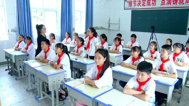 【小数优质课】河南省小学数学乡村优质课一等奖课例《平均数》授课、评课视频