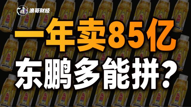 一年卖85亿,从“山寨”到第一,东鹏饮料逆袭之路