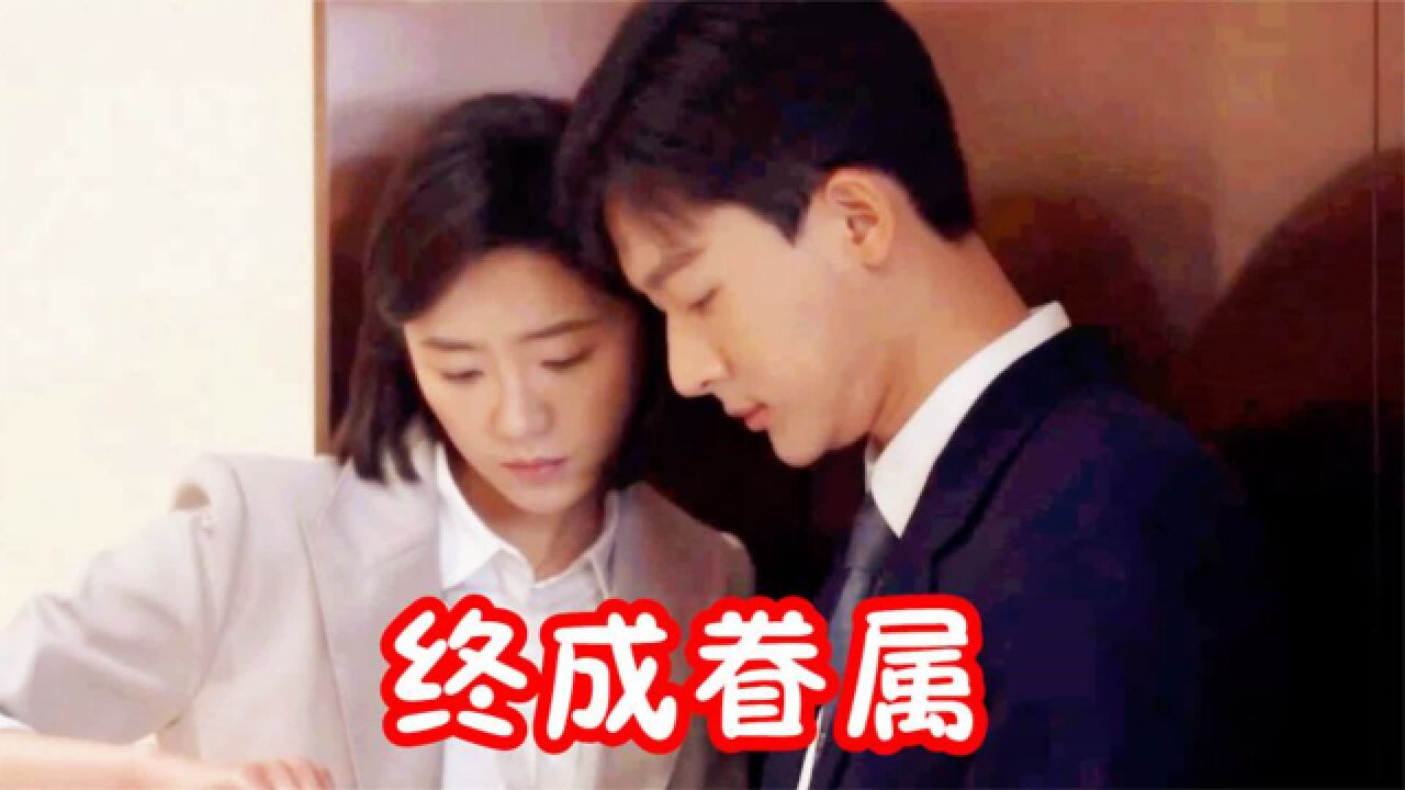 陈兴杰创业成功变老板,与林晓晴终成眷属,林晓晴却怀孕迎来惊喜