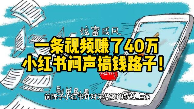 一条视频赚了40万,小红书闷声搞钱路子!