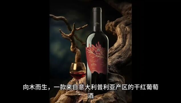 意大利普利亚产区向木而生干红葡萄酒Nativ纳缇维