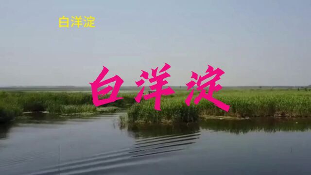 河北5A景区之——白洋淀