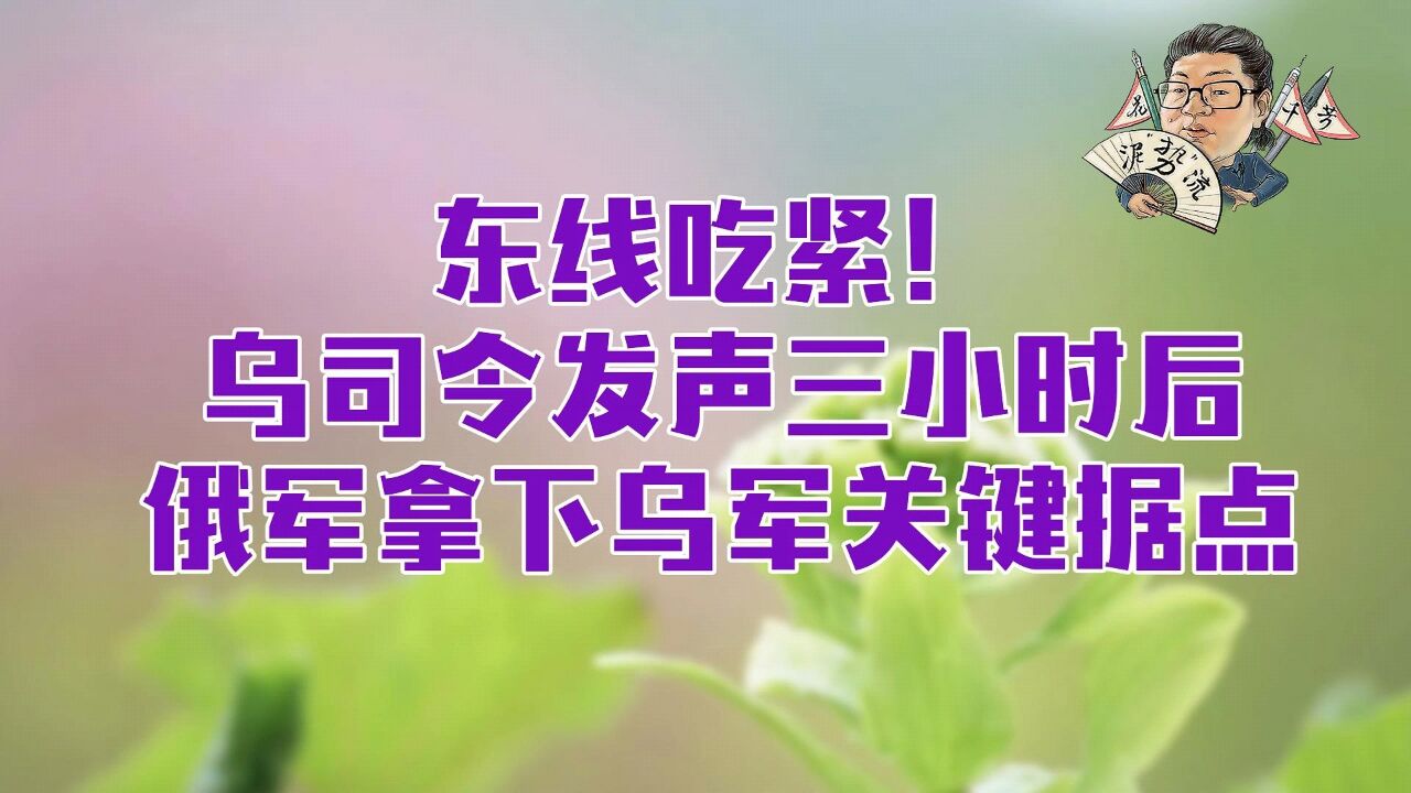 花千芳:东线吃紧!乌司令发声三小时后,俄军拿下乌军关键据点