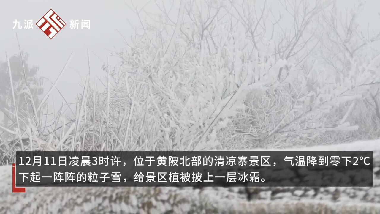 12月11日,湖北武汉.今冬武汉的第一场雪来了:位于武汉最北端的清凉寨迎来初雪