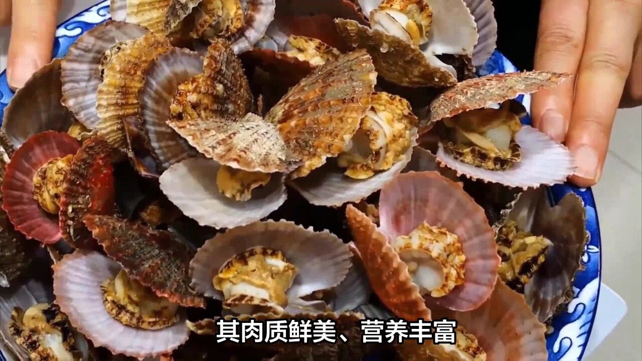 11月来大连,这些海鲜美食必吃!连本地人都停不下来的节奏