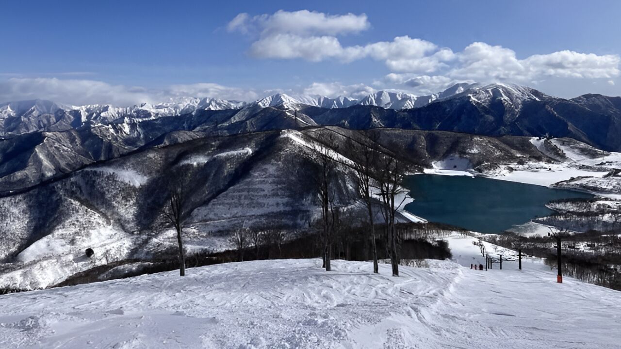 中国游客在日滑雪时因被雪掩埋窒息不幸身亡,我总领馆提示