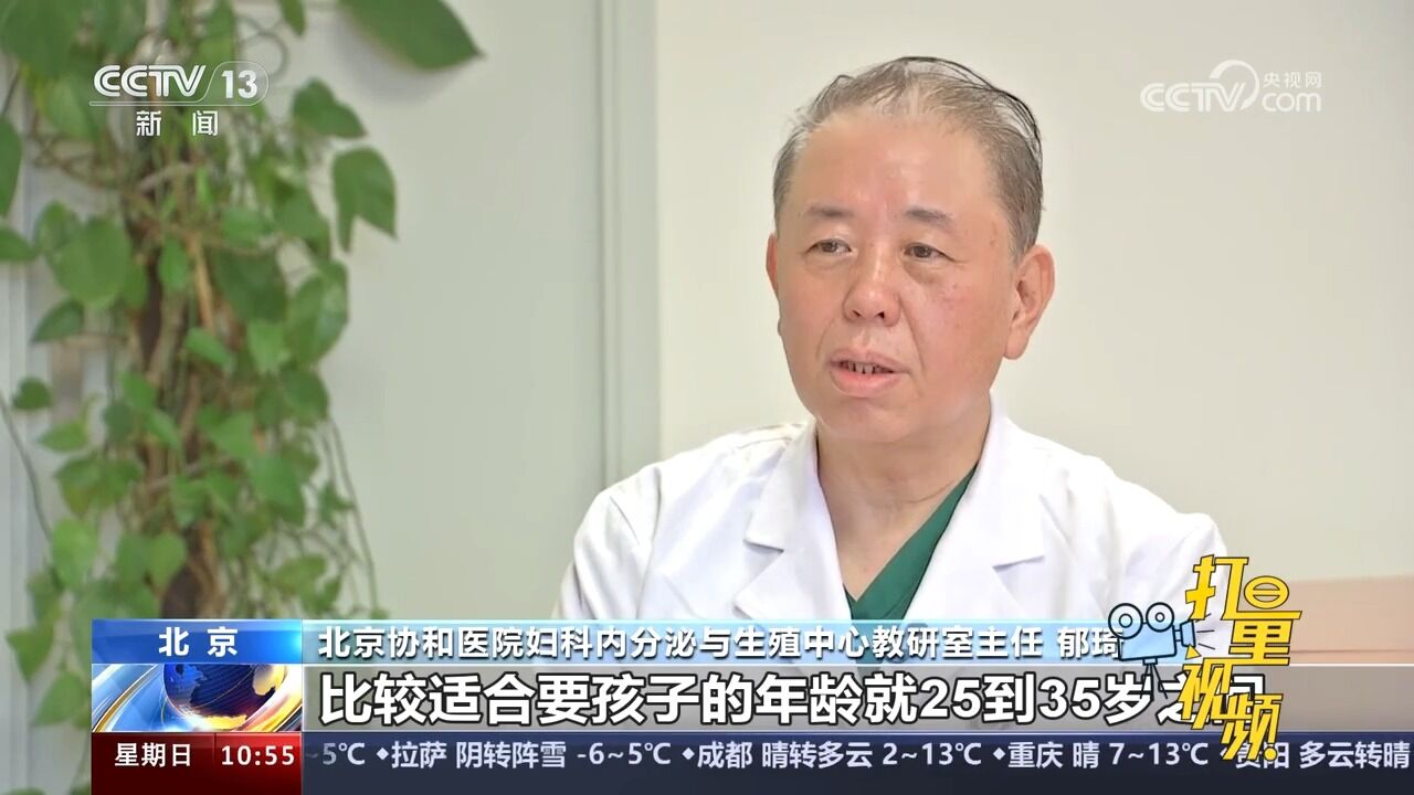 专家:年龄是影响生育关键,适龄婚育更易受孕