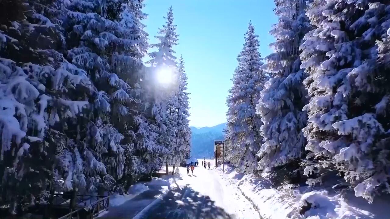 追着雪花看新疆丨天山冰雪游带旺红火好日子