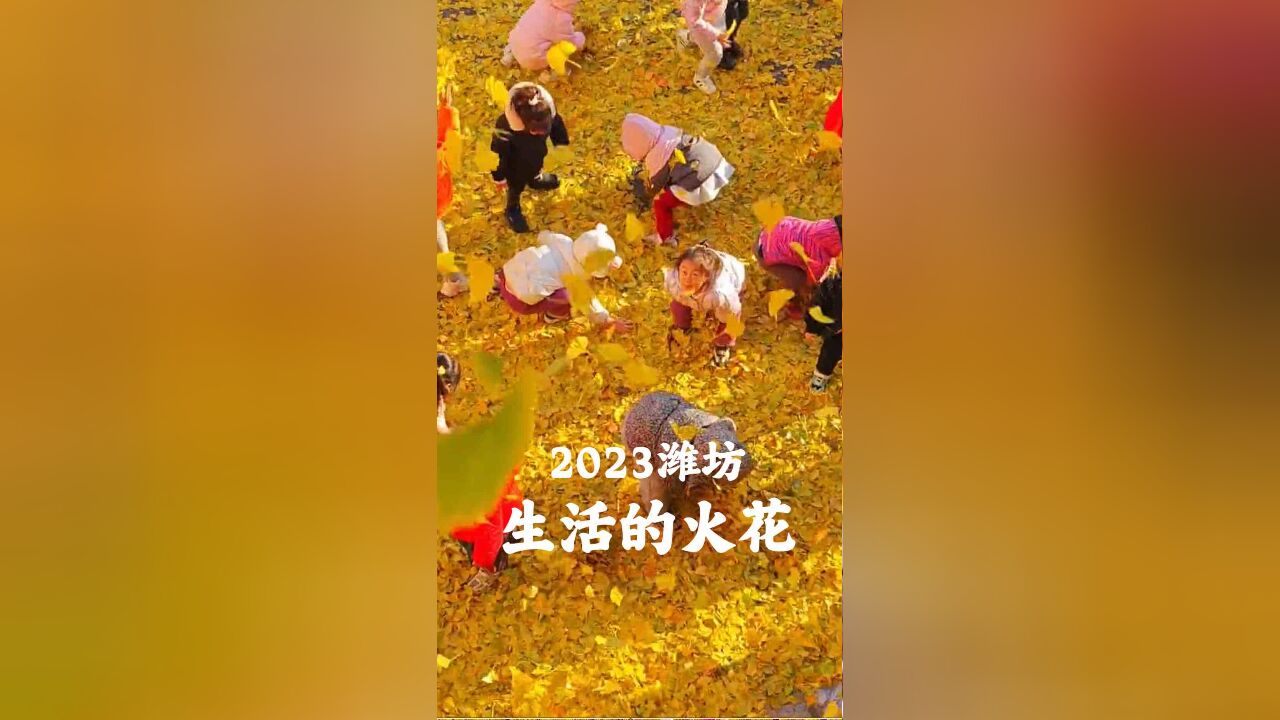 盘点2023潍坊生活的火花