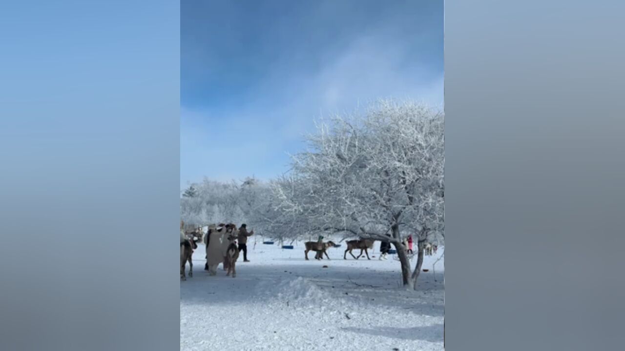 小寒,,心中有暖,岁月不寒,岁月慕雪,时光不寒,心中有暖,岁月不寒.转眼间,冬天倒数第二个节气——小寒来了.