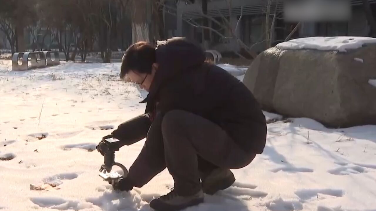 踏雪迎新,“微”镜头定格雪花最美瞬间